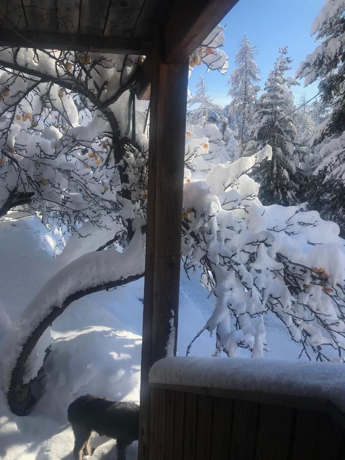 Chalet Familial 欧龙 外观 照片