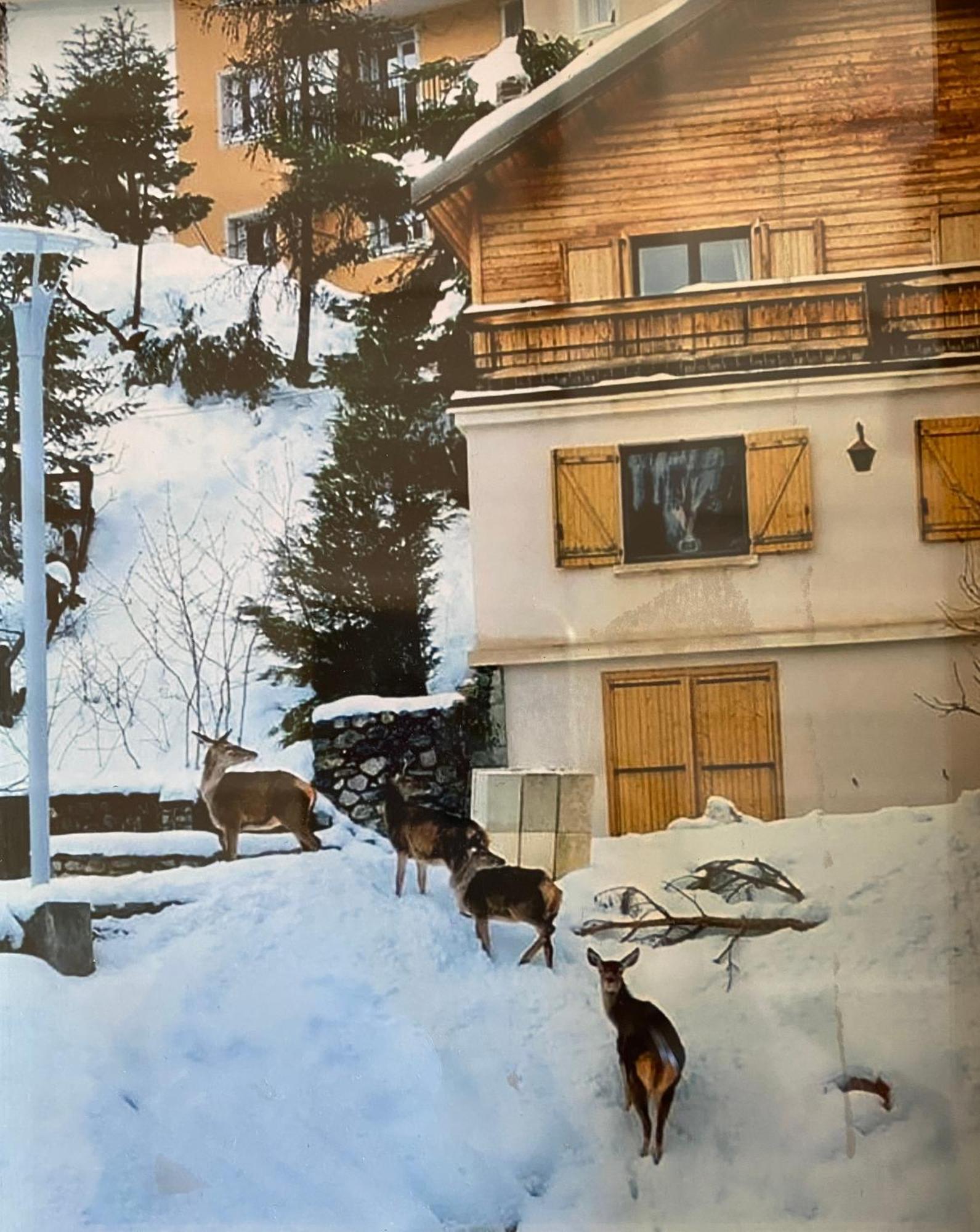 Chalet Familial 欧龙 外观 照片
